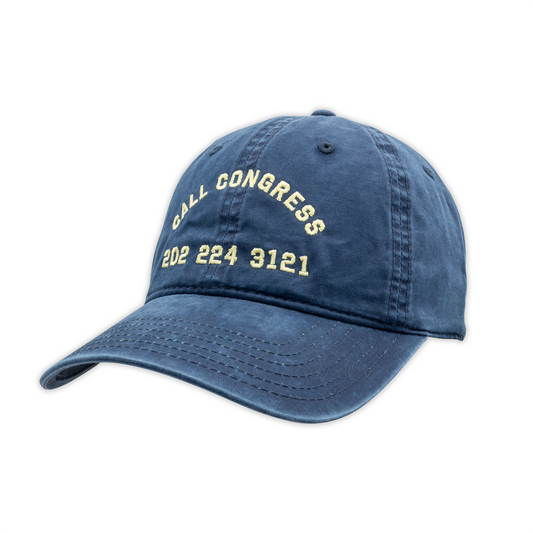 Call Congress Dad Hat