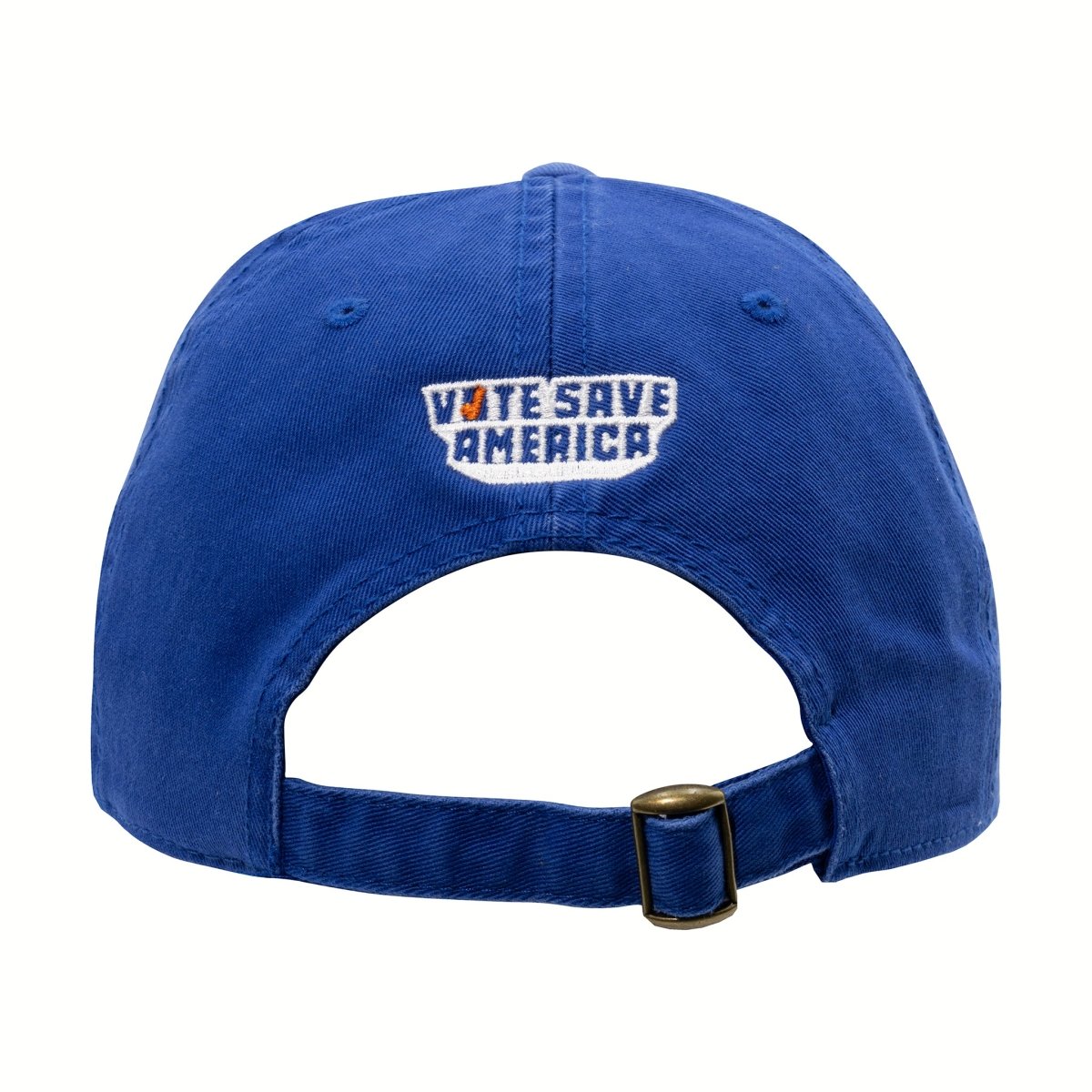Vote Save America Organize or Else Hat