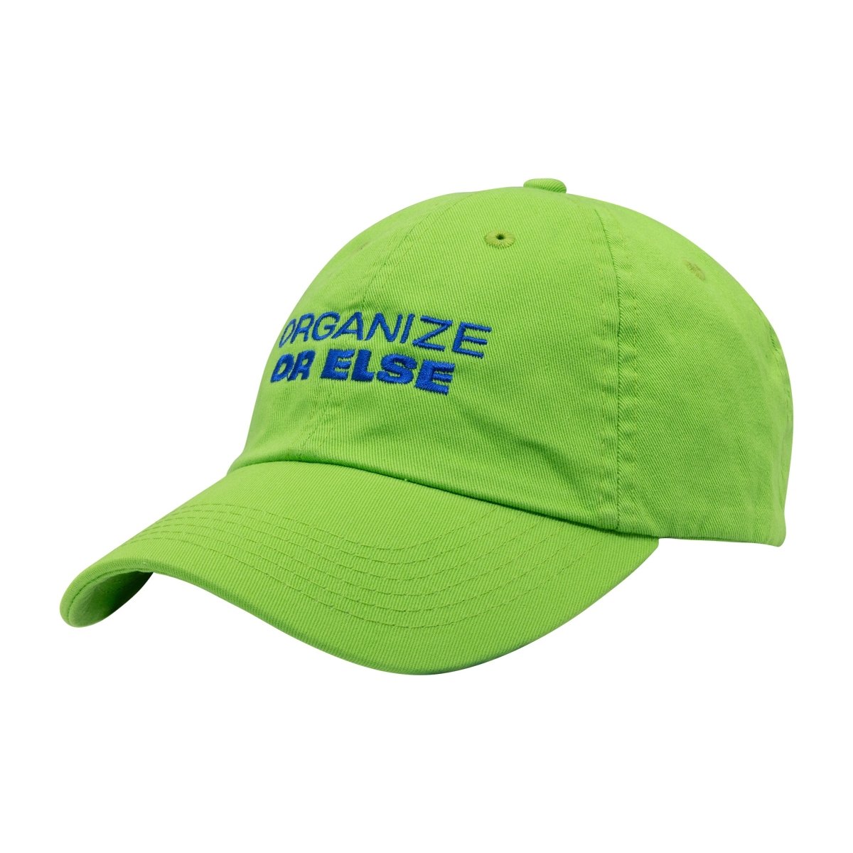 Vote Save America Organize or Else Hat