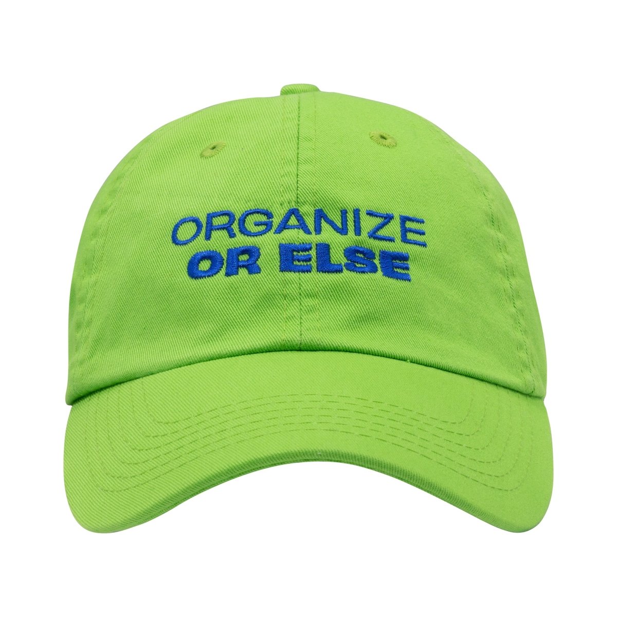 Vote Save America Organize or Else Hat