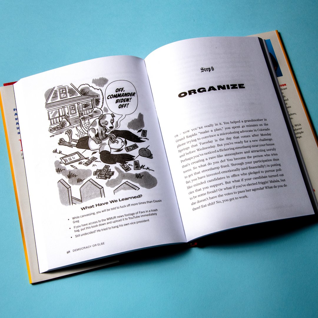 Democracy or Else: How To Save America In 10 Easy Steps Book