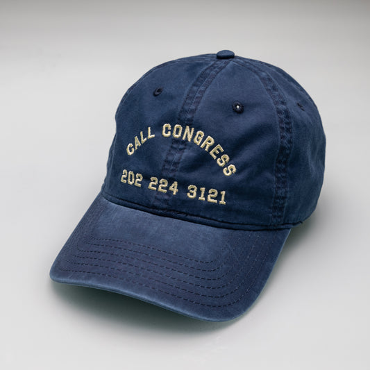 Call Congress Dad Hat