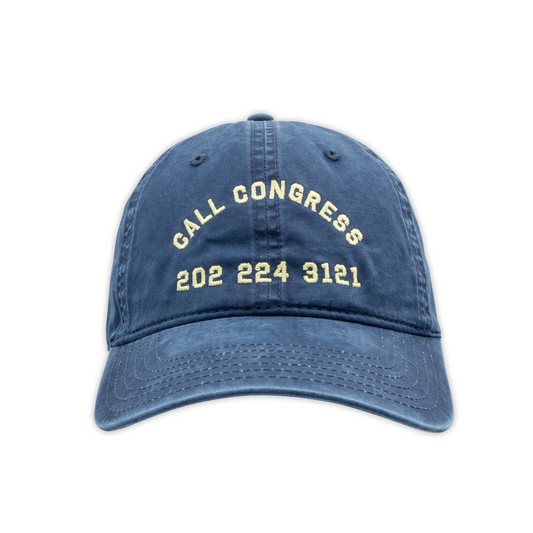 Call Congress Dad Hat