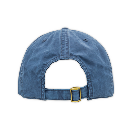 Call Congress Dad Hat