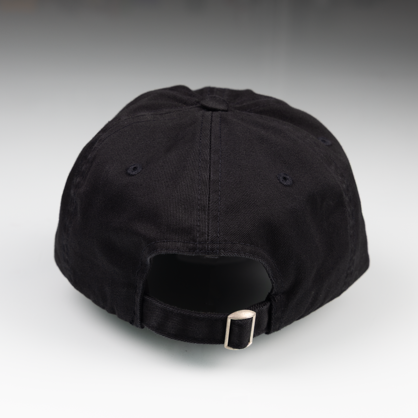 Let Women Run Everything Dad Hat