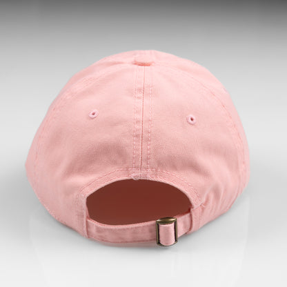 Vote Save America Hat