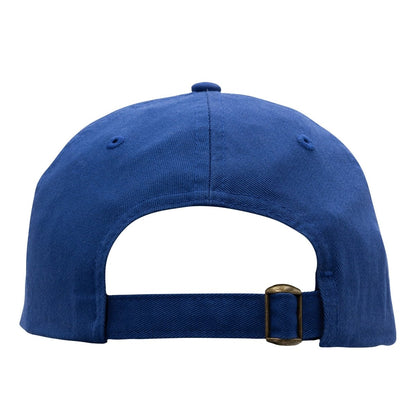 Antifa Dad Hat