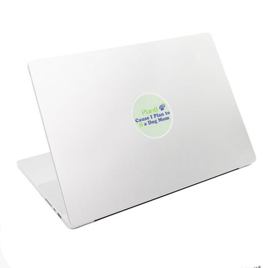 Plan B Sticker