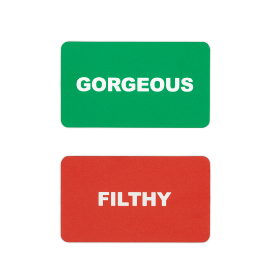 Filthy/Gorgeous Dishwasher Magnet