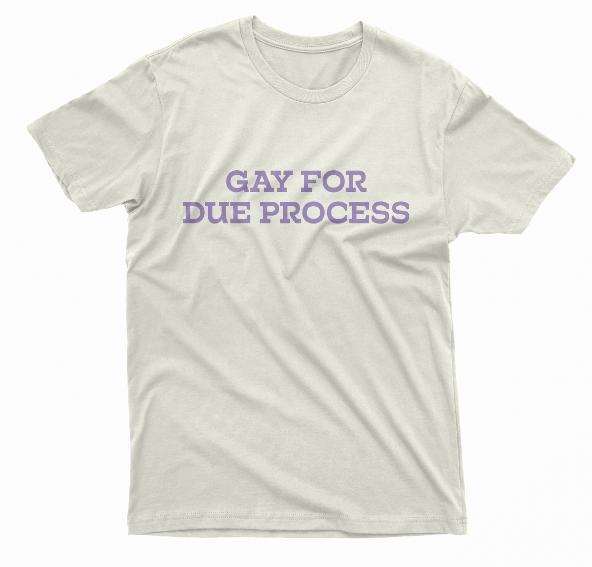 Gay for Due Process TShirt