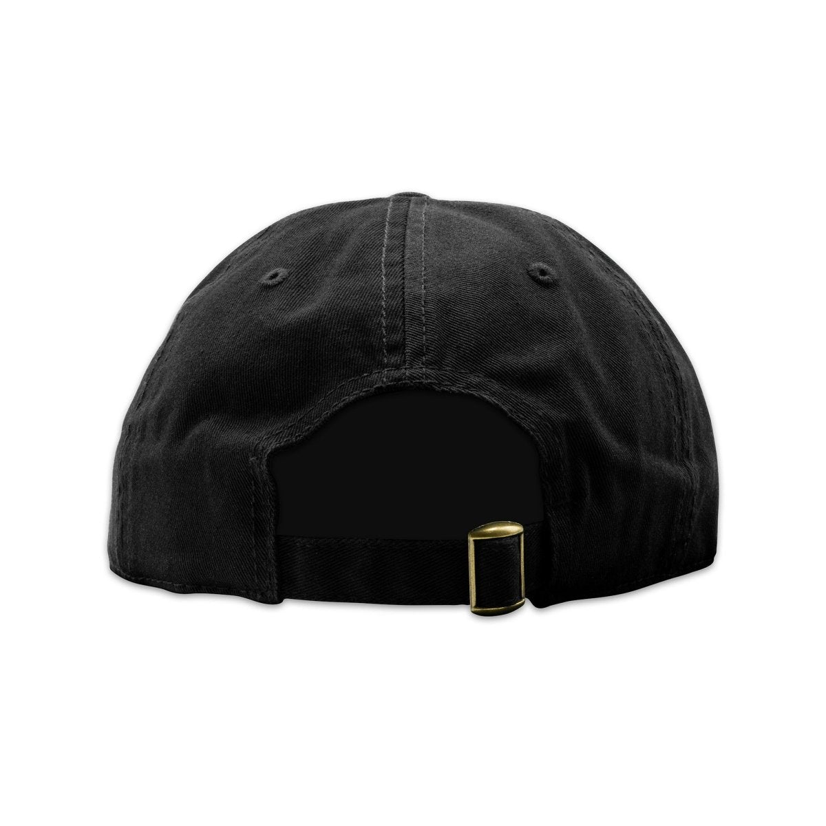Virginia Is For Choice Lovers Hat